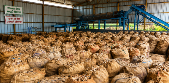 Bulk Orders